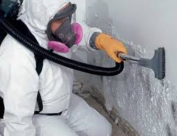 Best Industrial Mold Remediation  in Manitowoc, WI